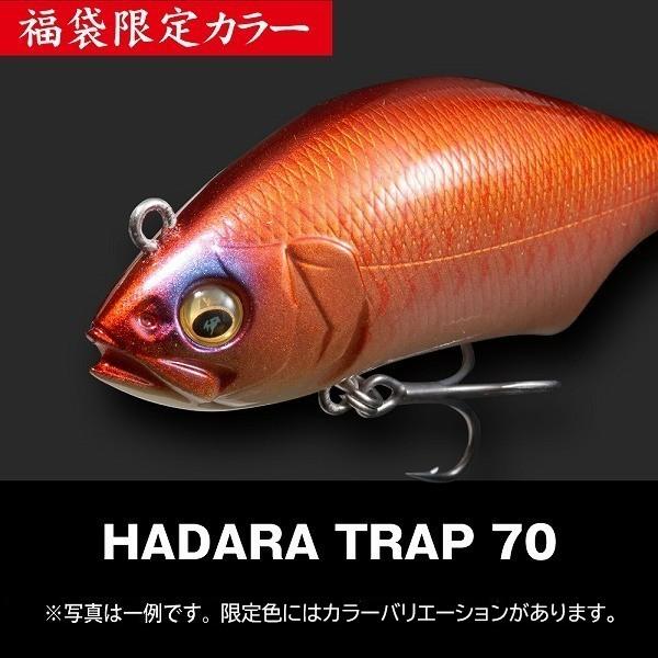 Megabass（メガバス） 2026年福袋 SALT SET 干支カラー全4色