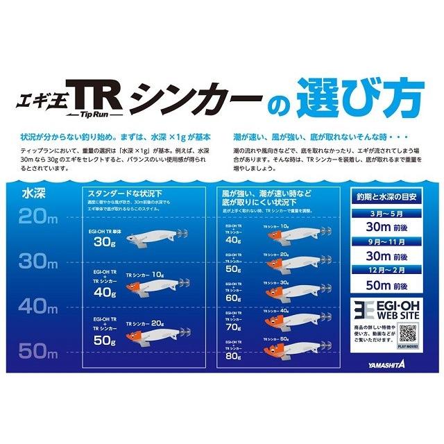 ヤマシタ エギ王 TRシンカー 50g PU(パープル) |  | 01