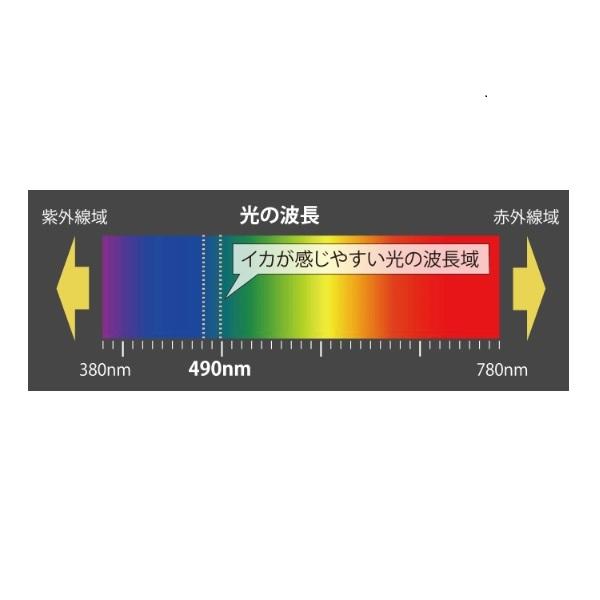 ヤマシタ エギ ナオリー レンジハンター 1.5B 010 金アジ |  | 02