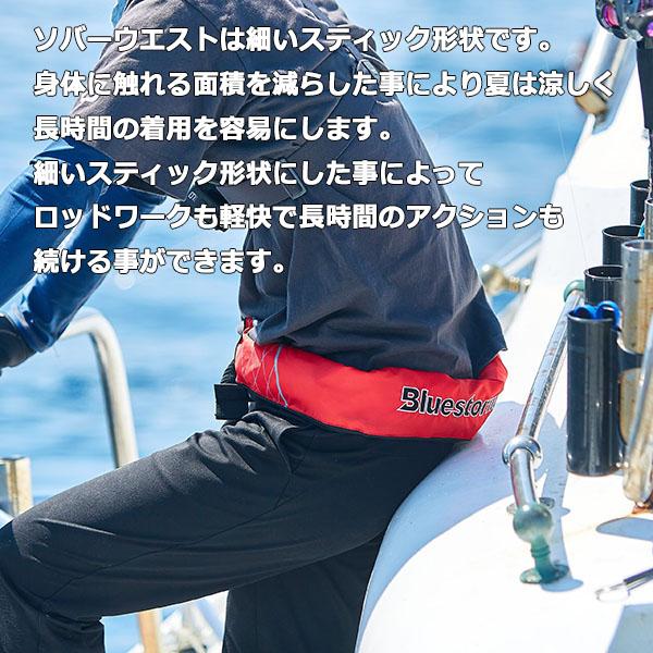 高階救命器具 ブルーストーム BSJ-5920RS2 ソバーウエスト ブラック