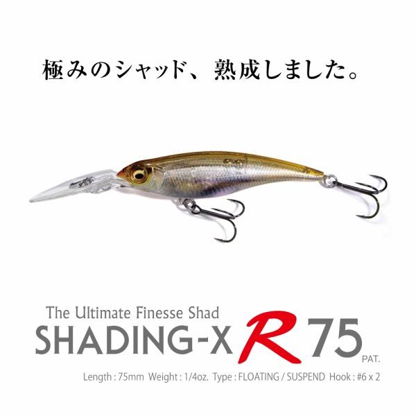 MEGABASS ルアー5セット Megabass（メガバス） 【ネコポス対象品】メガバス バスルアー シャッ