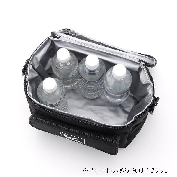 テイルウォーク クーラボックス ソフトクーラーサック GRY-10L | alpha tackle | 01