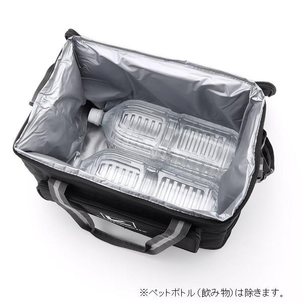 テイルウォーク クーラボックス ソフトクーラーサック BLK-24L | alpha tackle | 01