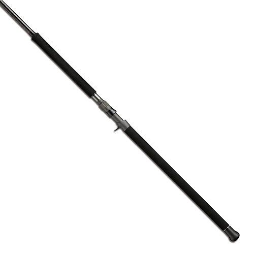 テイルウォーク TW オキナワマンビカ C100SSXH ショアジグロッド