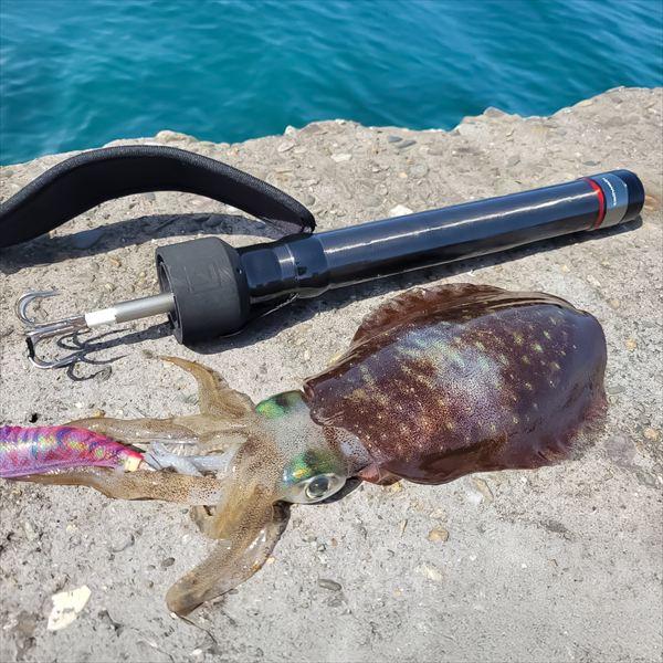 【予約品】 テイルウォーク キャッチバー改 イカギャフ スーパーマイクロ 410/CARBON BLACK 【3月下旬頃発売予定 ※他商品同時注文不可】 | alpha tackle | 01