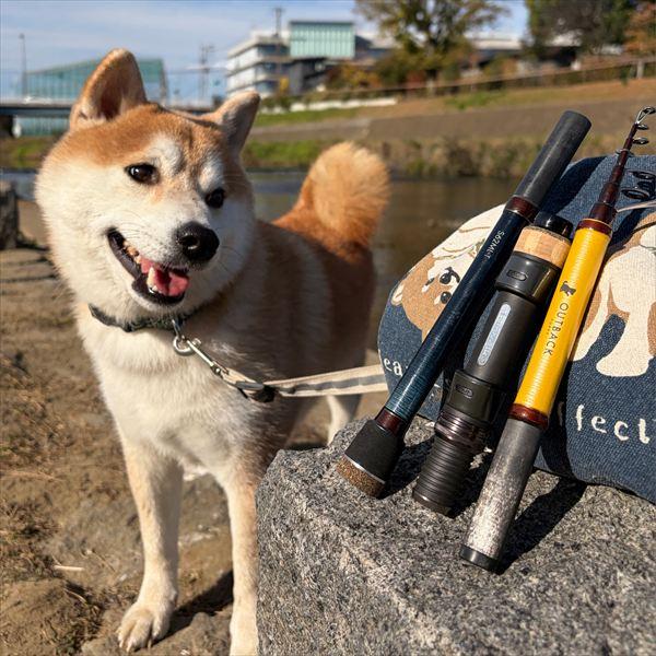 alpha tackle（アルファタックル） テイルウォーク トラウトロッド