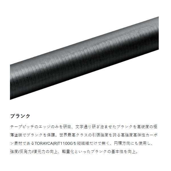 Gamakatsu がまかつ ショアジグロッド ラグゼ アークフレックス RS