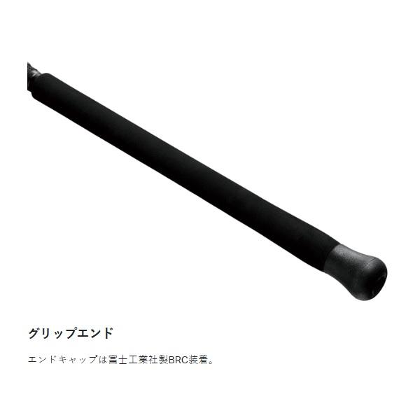 Gamakatsu（がまかつ） ショアジグロッド ラグゼ アークフレックス RS