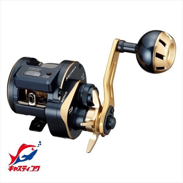 DAIWA（ダイワ） ベイトリール ソルティガIC 100L 2021年モデル (左巻