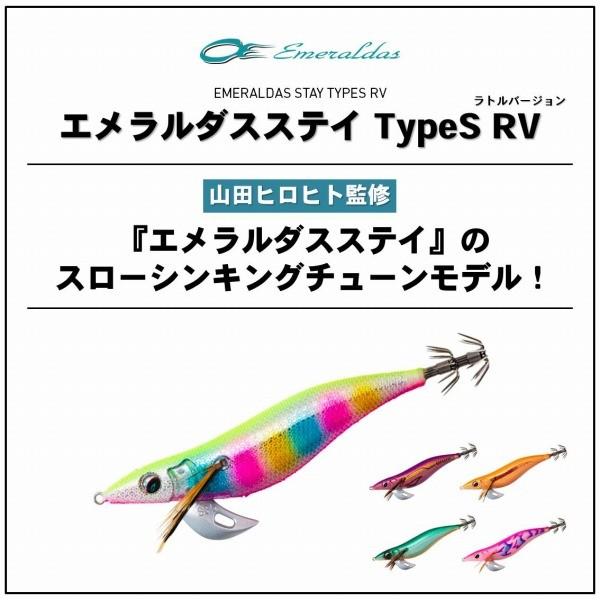 DAIWA（ダイワ） 【ネコポス対象品】ダイワ エメラルダスステイ タイプ