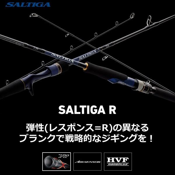 DAIWA（ダイワ） ソルティガ R J62B-3 LO 2021モデル (ベイト1ピース