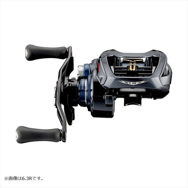 DAIWA（ダイワ） スティーズA TW HLC 8.1R (右) 2021追加モデル : 釣具