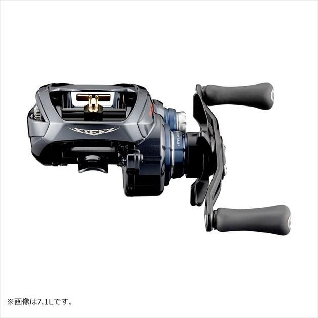 DAIWA（ダイワ） スティーズA TW HLC 8.1L (左) 2021追加モデル : 釣具