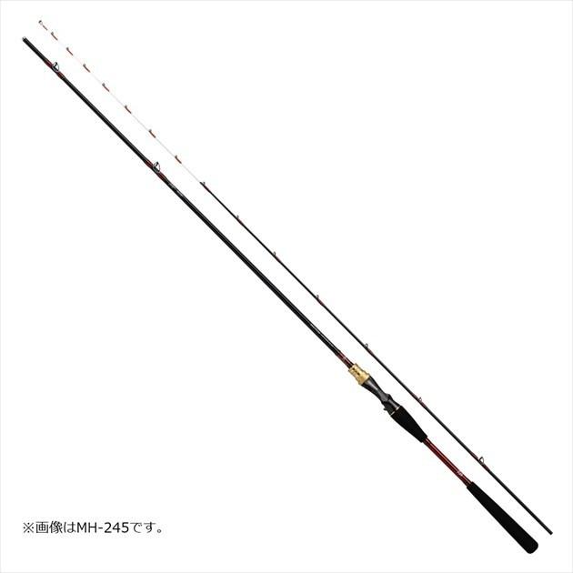 DAIWA（ダイワ） アナリスター ライトヒラメ M-225 2021年モデル (両軸