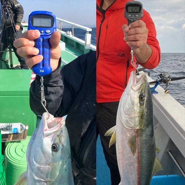 ダイワ デジタルスケール25 レッド | DAIWA（釣り） | 04