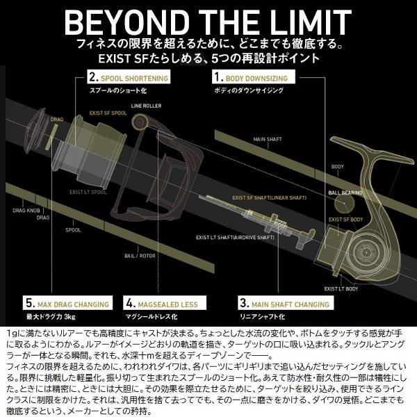 DAIWA（ダイワ） スピニングリール イグジスト SF2000SS-P : 釣具の