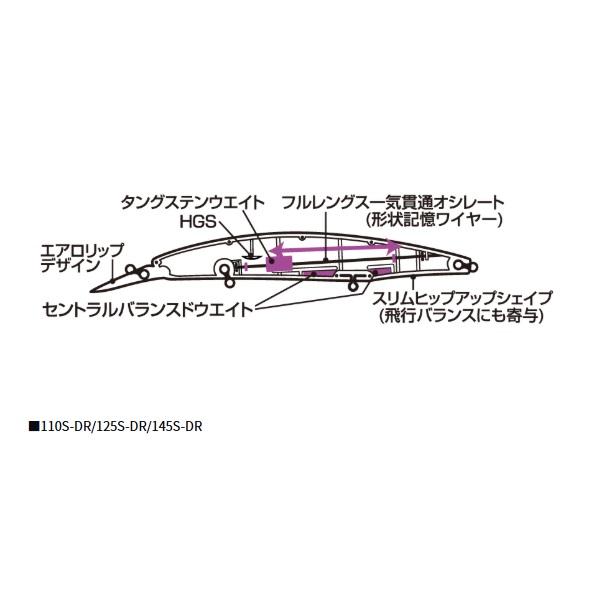 ダイワ シーバスルアー ショアラインシャイナーZ セットアッパー 110SDR ラトリンゴールドレインボー | DAIWA（釣り） | 01