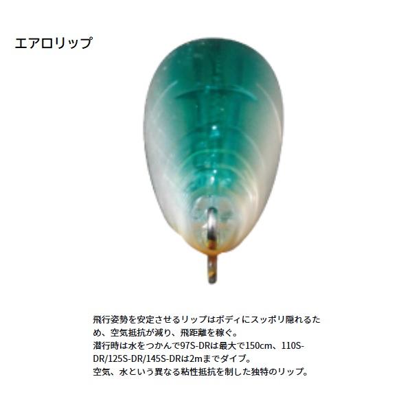 ダイワ シーバスルアー ショアラインシャイナーZ セットアッパー 110SDR ラトリンゴールドレインボー | DAIWA（釣り） | 02