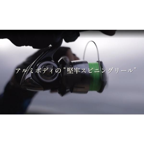 DAIWA（ダイワ） スピニングリール 23レグザ LT3000S-C : 釣具の