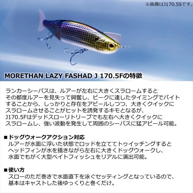 モアザン レイジーファシャッド J170.5F 不夜城　5個セット モアザン レイジーファシャッド J170.5F 不夜城 5個セット