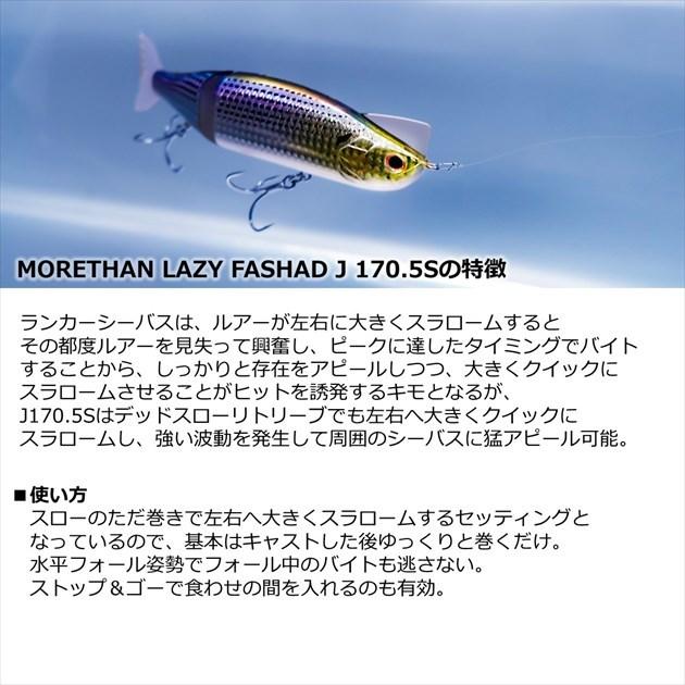 DAIWA（ダイワ） 【訳あり】ダイワ シーバスルアー モアザン レイジー