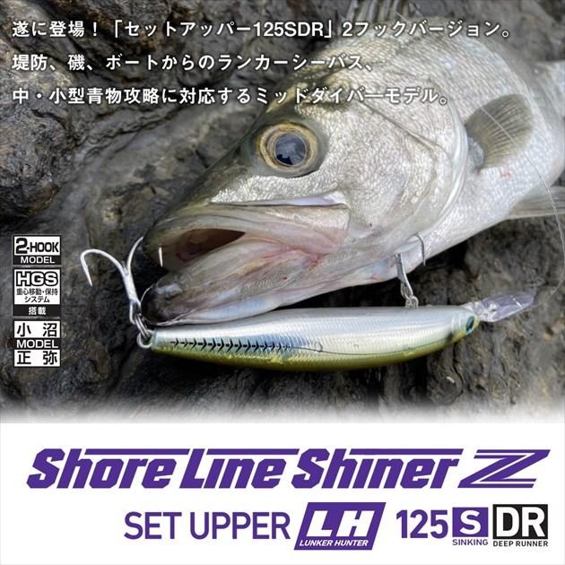 玄関先迄納品 ダイワ シーバスルアー ショアラインシャイナーz セットアッパー ランカ ハンター 125sdr ラトリンカタクチチャートベリー Columbiatools Com