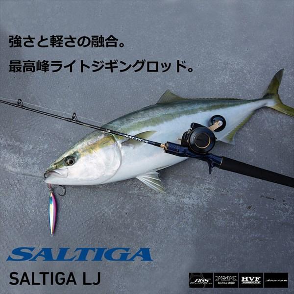 DAIWA（釣り） ダイワ オフショアロッド ソルティガ LJ 61H/XHS-S 