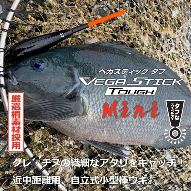 DAIWA（ダイワ） ウキ ベガスティック タフ Mini 00 : 釣具の 