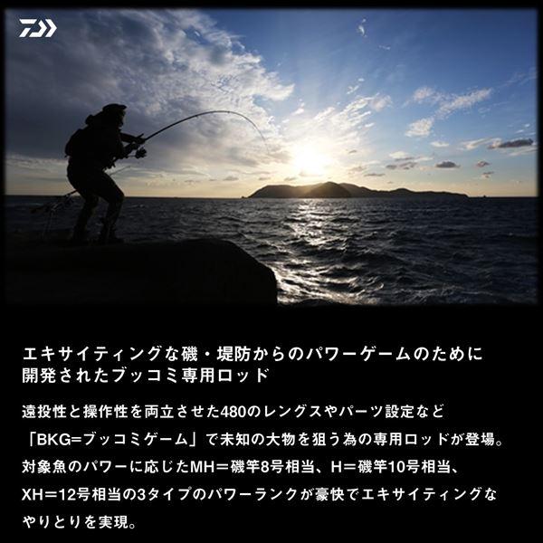 DAIWA(釣り) ダイワ 遠投竿 バトルゲーム BKG(ブッコミゲーム DAIWA(釣り) ダイワ 遠投竿 バトルゲーム BKG(ブッコミゲーム