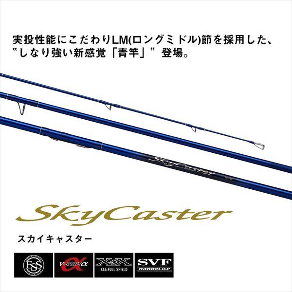 ダイワ 投げ竿 スカイキャスター 30-425・K【大型商品】 | DAIWA（釣り） | 01