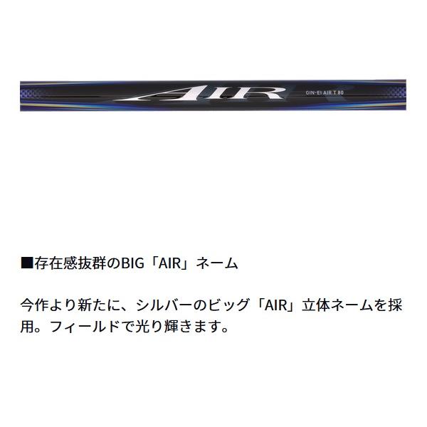 ダイワ 鮎竿 銀影エア ショートリミテッド(SHORT LIMITED) T H80(7ピース) | DAIWA（釣り） | 01