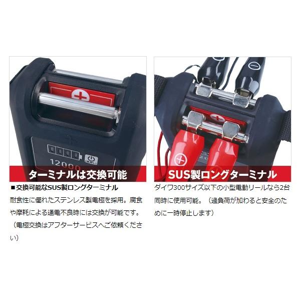 ダイワ　電動リール用バッテリー スーパーリチウム12000WP-C DAIWA（ダイワ） バッテリー スーパーリチウム12000WP-C(充電器付き