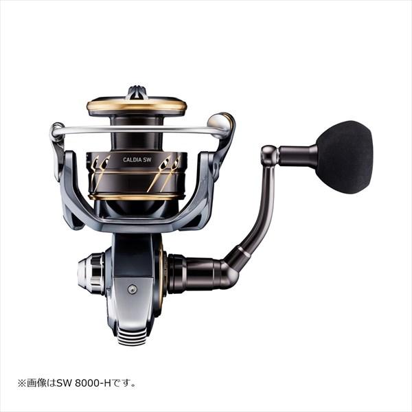 が販売されているので ダイワ スピニングリール 22カルディア SW 8000-P(qh)