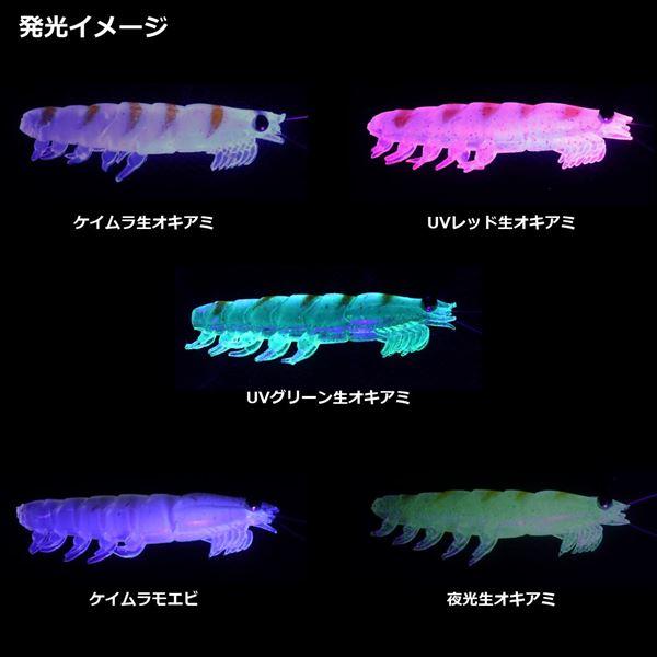 【ネコポス対象品】ダイワ ワーム リアルオキアミワーム タフ M ケイムラモエビ | DAIWA（釣り） | 04