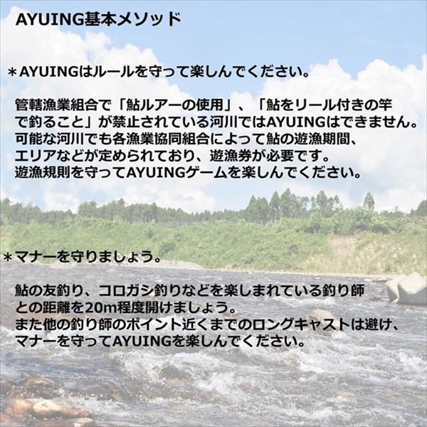 【ネコポス対象品】ダイワ トラウトプラグ AYUINGミノー95SS アデルナチュラルアユ | DAIWA（釣り） | 06