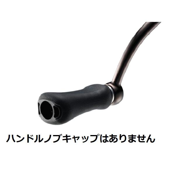 ダイワ スピニングリール 24ルビアス ST SF2000SS-P | DAIWA（釣り） | 06