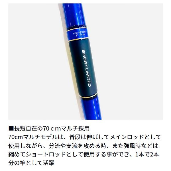 DAIWA（ダイワ） 鮎竿 銀影エア ショートリミテッド(SHORT LIMITED) MT