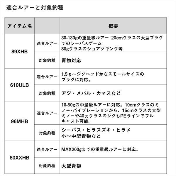 DAIWA(釣り) ダイワ ソルティスト 96MHB(ベイト 2ピース DAIWA(釣り) ダイワ ソルティスト 96MHB(ベイト 2ピース