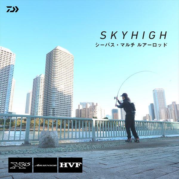 ダイワ シーバスロッド SKYHIGH(スカイハイ) 100M(2ピース)  100M DAIWA（ダイワ） シーバスロッド スカイハイ 100M(スピニング 2ピース