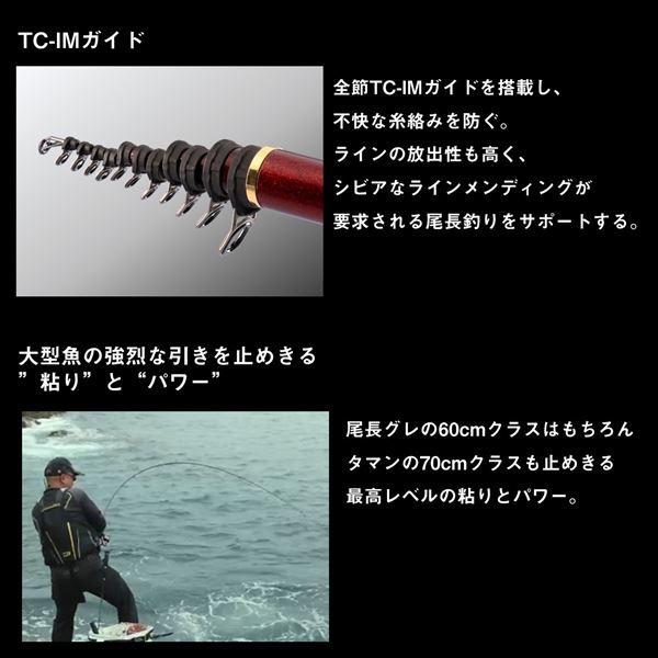 DAIWA（ダイワ） 磯竿 モンスタートルク 尾長H-50 : 釣具の