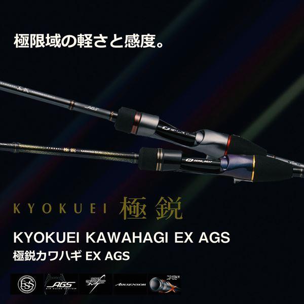DAIWA（ダイワ） カワハギ竿 極鋭カワハギEX VS(1ピース)【大型商品