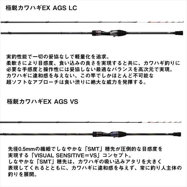 ダイワ 極鋭カワハギRT AGS VS (1ピース) カワハギ竿【大型商品】 美品 極