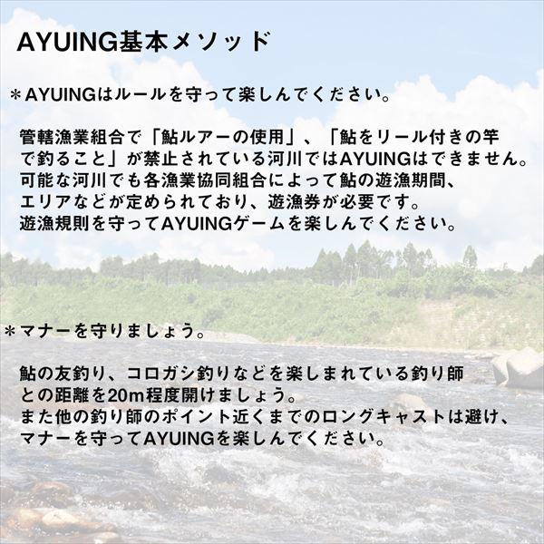 ダイワ トラウトプラグ AYUINGミノー 94SF クリア縄張リアユ | DAIWA（釣り） | 05