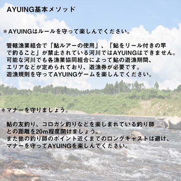 【爆買】【ネコポス対象品】ダイワ トラウトプラグ AYUINGミノー 95SS クリア縄張リアユ | DAIWA（釣り） | 06