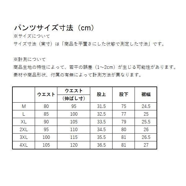 ダイワ レインウェア DR-1925P GORE-TEX バーサタイルレインパンツ ブラック 2XLの画像