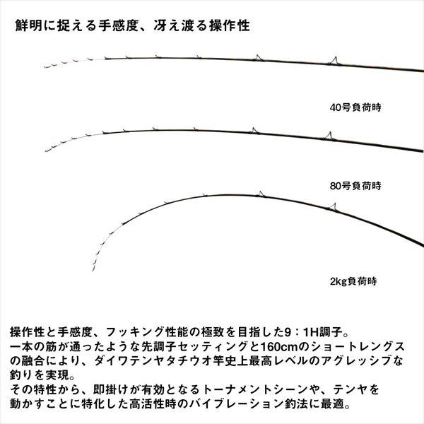 DAIWA（釣り） ダイワ 船竿 瞬鋭テンヤタチウオEX 91H-160(1