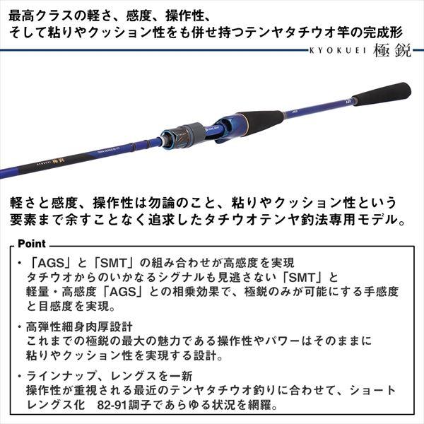 DAIWA（ダイワ） 船竿 極鋭テンヤタチウオ 91-172(2ピース) : 釣具の