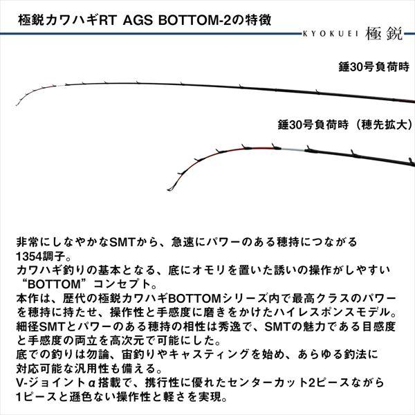 DAIWA（ダイワ） カワハギ竿 極鋭カワハギRT BOTTOM-2(ベイト 2ピース