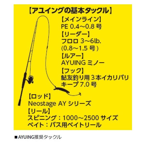 【ネコポス対象品】ダイワ トラウトプラグ AYUINGミノー 110SF メッキケイムラサイトスペシャル【即日発送】 | DAIWA（釣り） | 02