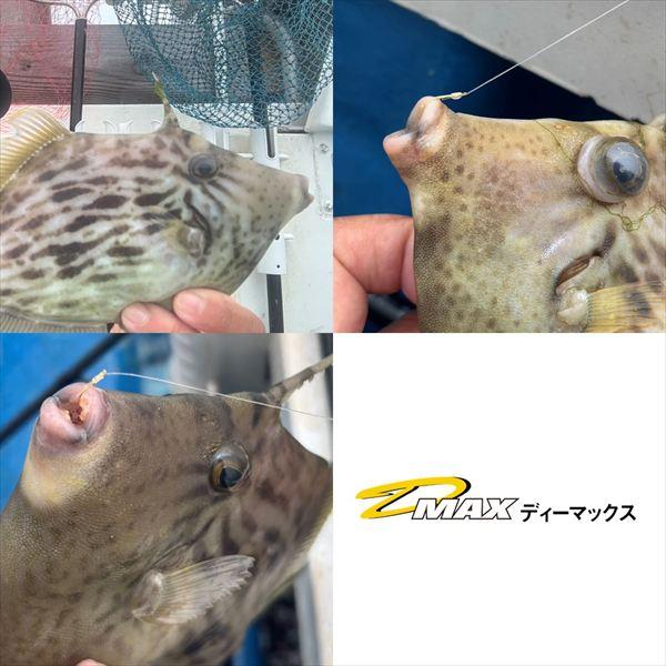 ダイワ 針 D-MAX カワハギ糸付 SP G パワースピード 7.5号 | DAIWA（釣り） | 05